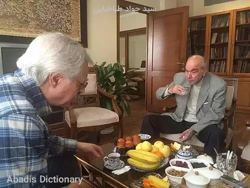 سید جواد طباطبایی